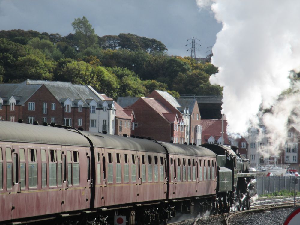 BR 75029 standard locomotive