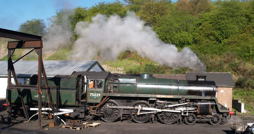 75029