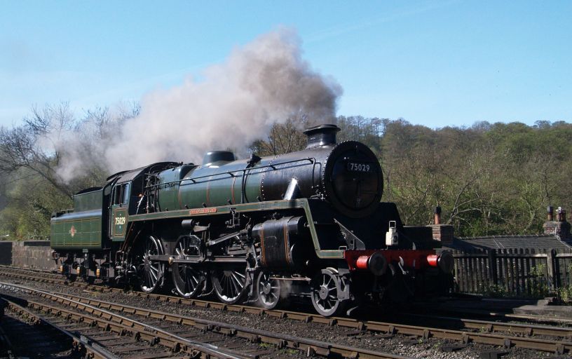 75029