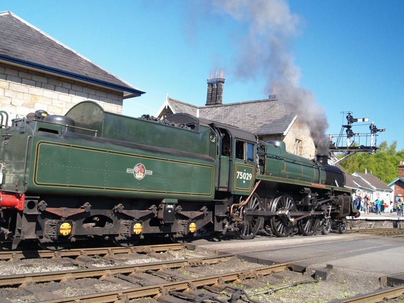 75029