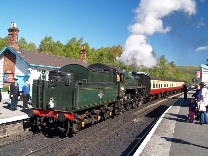 75029