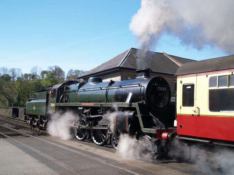75029