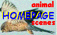 HOMEPAGE Animal Scenes HOMEPAGE Animal Scenes