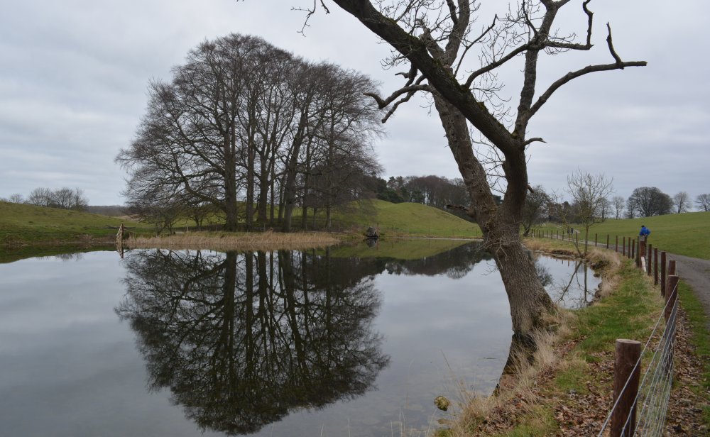 The small lake pond in Jervaulx Park Jervaulx Abbey circular walk