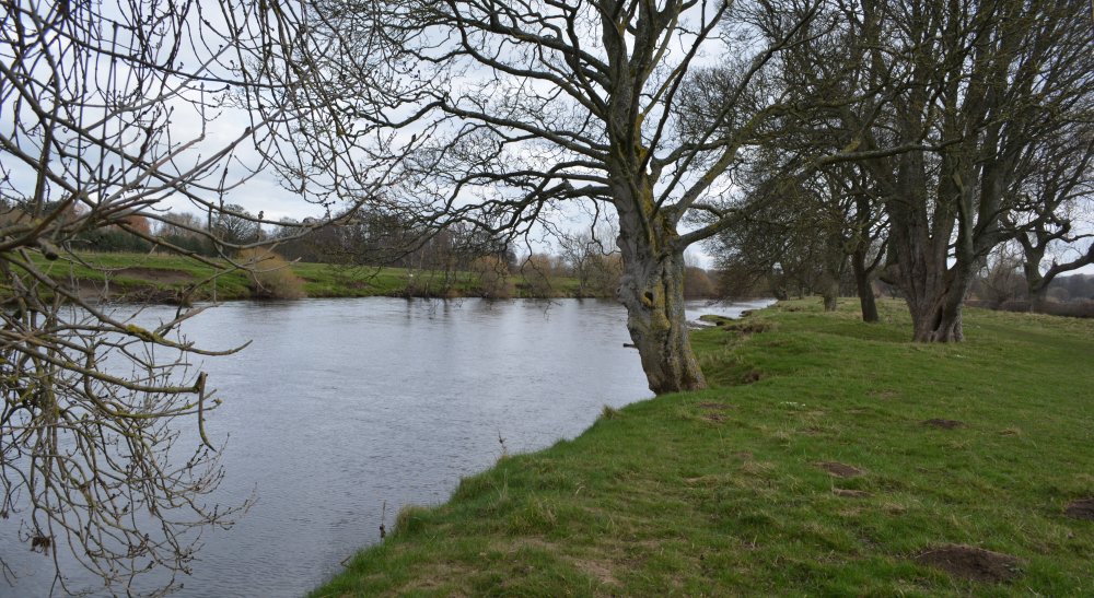  Jervaulx Abbey circular walk