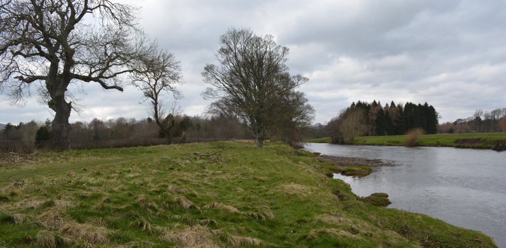 Walking along the banks of the now wider River Ure Jervaulx Abbey circular walk