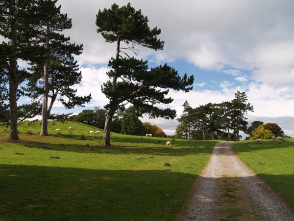 Kilgram Lane Circular walk from Jervaulx Abbey