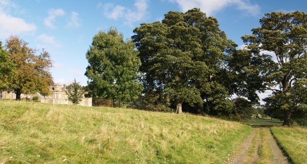  Circular walk from Jervaulx Abbey