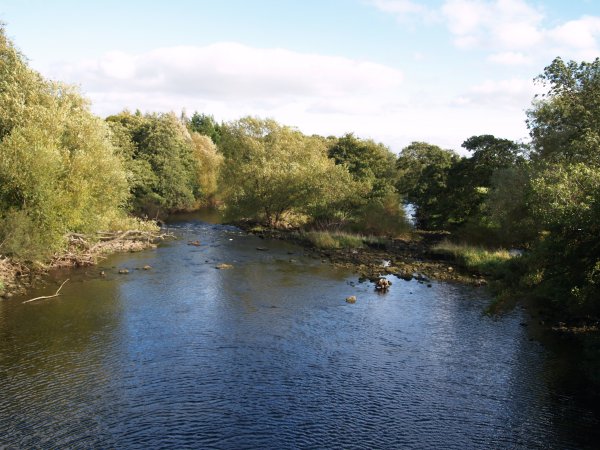  Circular walk from Jervaulx Abbey