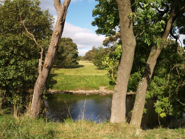  Circular walk from Jervaulx Abbey