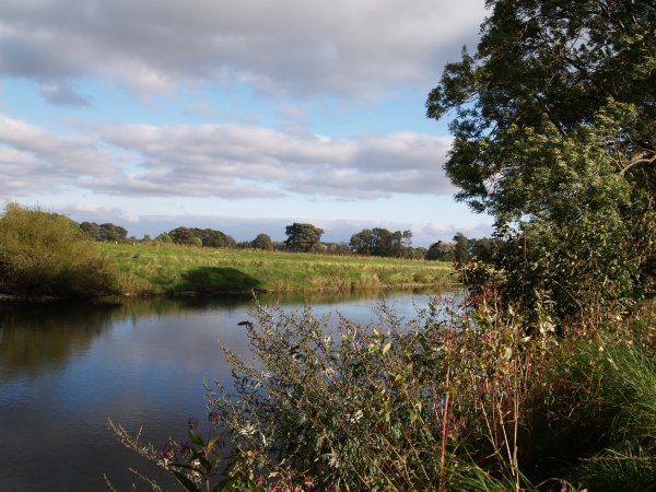  Circular walk from Jervaulx Abbey