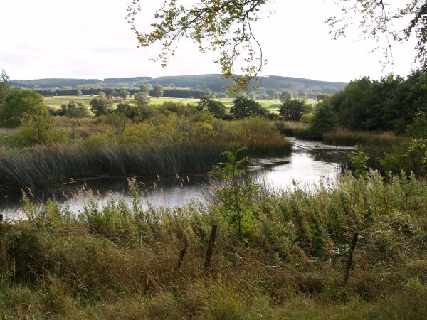 fish ponds of the Danby and Jervaulx fly fishers (only!) in the Fish Pond Plantation Circular walk from Jervaulx Abbey