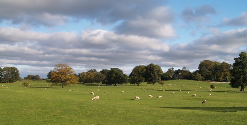  Circular walk from Jervaulx Abbey