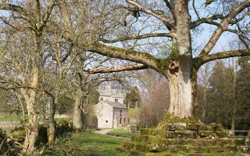 The short road up to the delightful St James's Church, Great Ormside.
