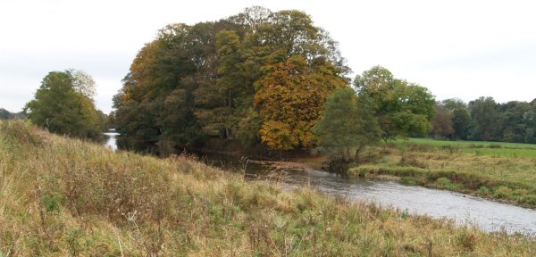 Autumn scene from the north bank of the River Eden. - River Eden walk, Bolton Village near Appleby, Cumbria, Northern England
