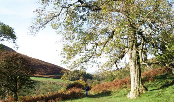 Climbing up through Barbondale with Barbon Beck (out of site) down on the left.
