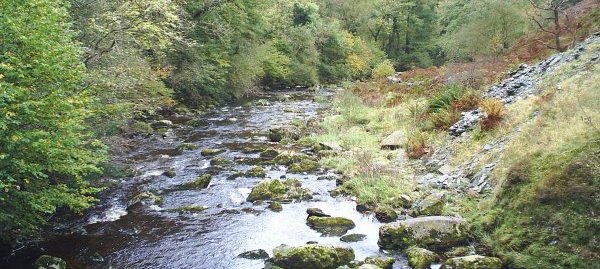 views of the River Twiss and the River Doe Ingleton Waterfalls Walk