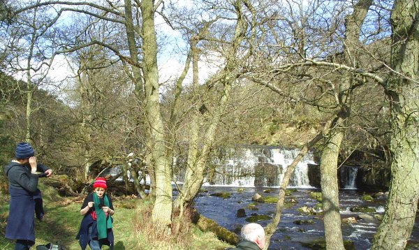 Orgate Force on Marske Beck.
