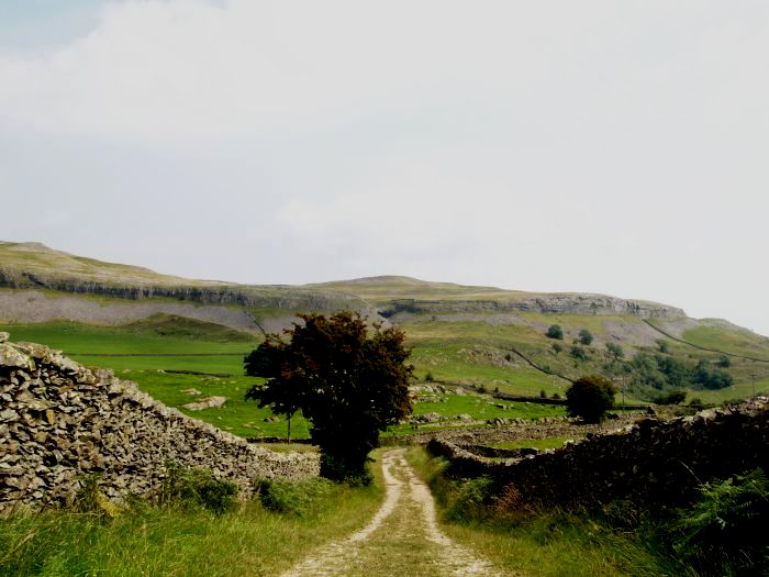 Crummack Dale Austwick Walk