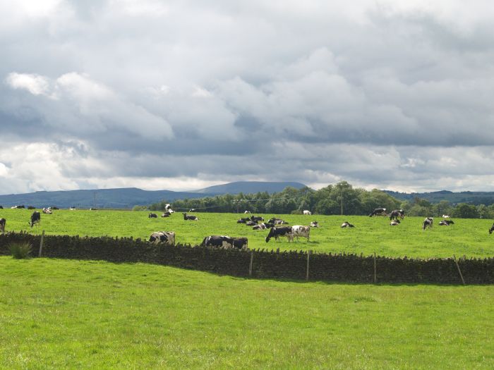 Craven Villages Walk