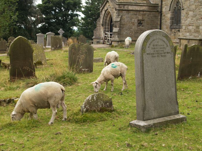 Craven Villages Walk