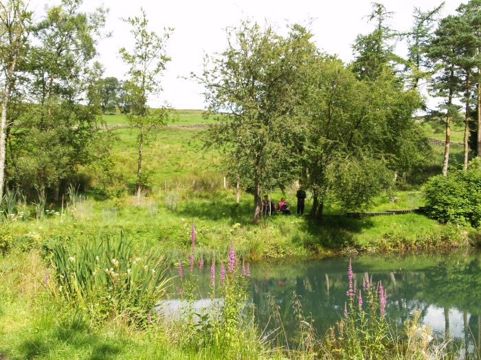 Parcevall Hall Gardens