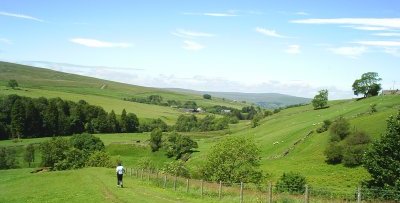 Looking down 'Gerards Glen' heading back to Garrigill.