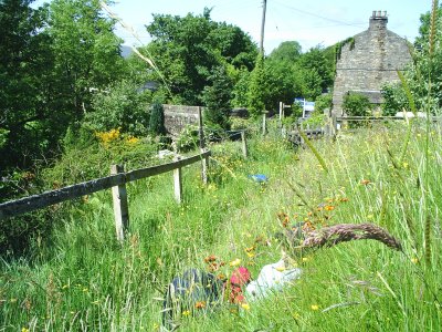 The lovely meadow fields above Garrigill.