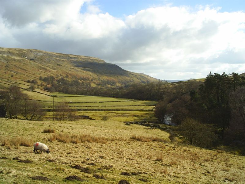 Limestone cliffs above the River Swale near Reeth.
