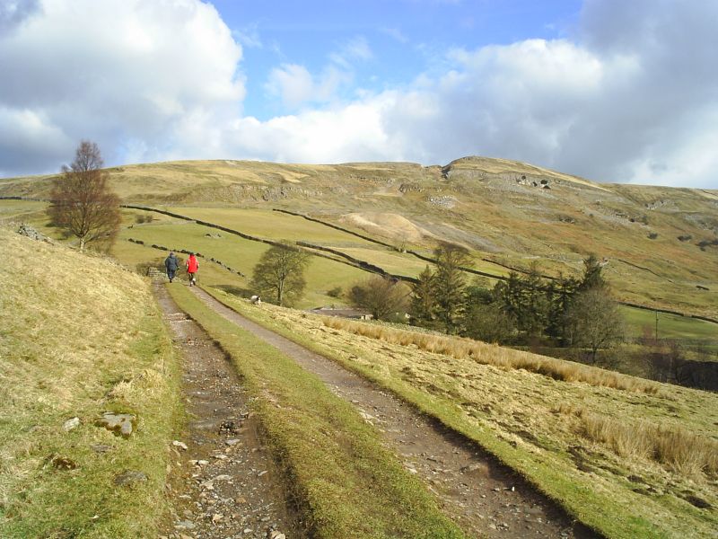 Limestone cliffs near Reeth.

