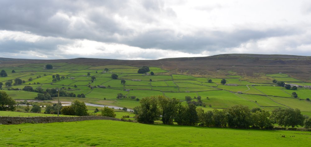 Reeth to Calver Hill Healaugh village River Swale circular walk Swaledale, North Yorkshire, England