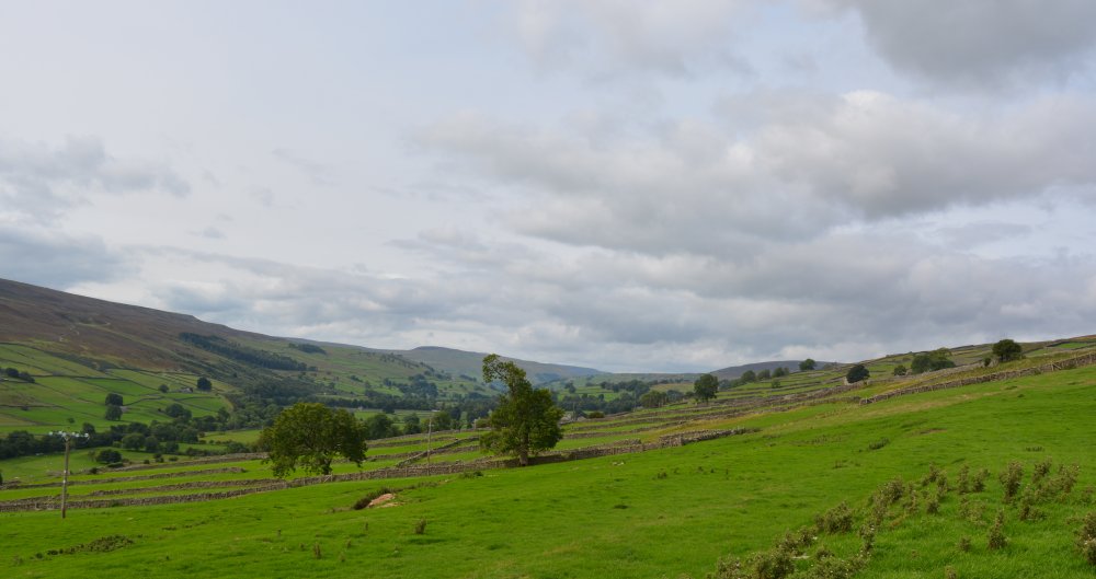 Reeth to Calver Hill Healaugh village River Swale circular walk Swaledale, North Yorkshire, England