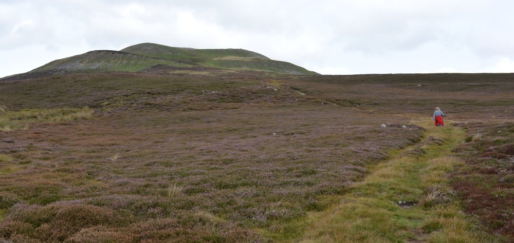 Approach to Calver Hill Reeth to Calver Hill Healaugh village River Swale circular walk Swaledale, North Yorkshire, England