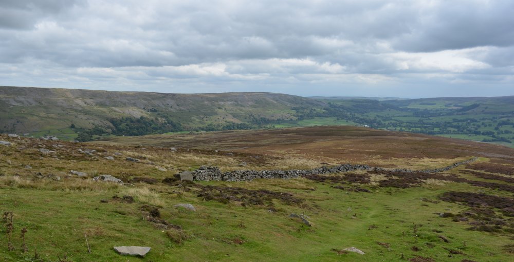 Reeth to Calver Hill Healaugh village River Swale circular walk Swaledale, North Yorkshire, England