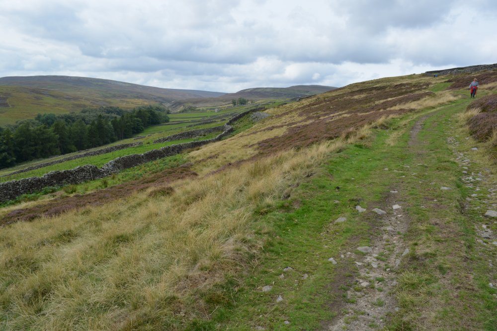 Reeth to Calver Hill Healaugh village River Swale circular walk Swaledale, North Yorkshire, England