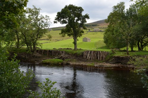 Reeth to Calver Hill Healaugh village River Swale circular walk Swaledale, North Yorkshire, England