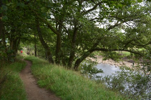 Reeth to Calver Hill Healaugh village River Swale circular walk Swaledale, North Yorkshire, England