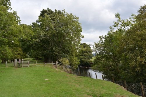 Reeth to Calver Hill Healaugh village River Swale circular walk Swaledale, North Yorkshire, England
