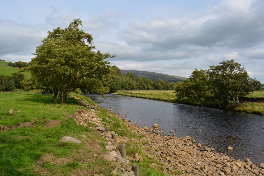 Reeth to Calver Hill Healaugh village River Swale circular walk Swaledale, North Yorkshire, England