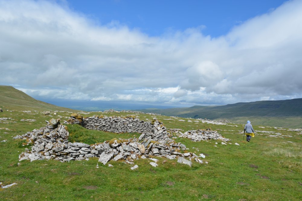 An old limestone wall enclosure for sheep on Mallerstang Common Aisgill walking on Mallerstang Common, Cumbria, England