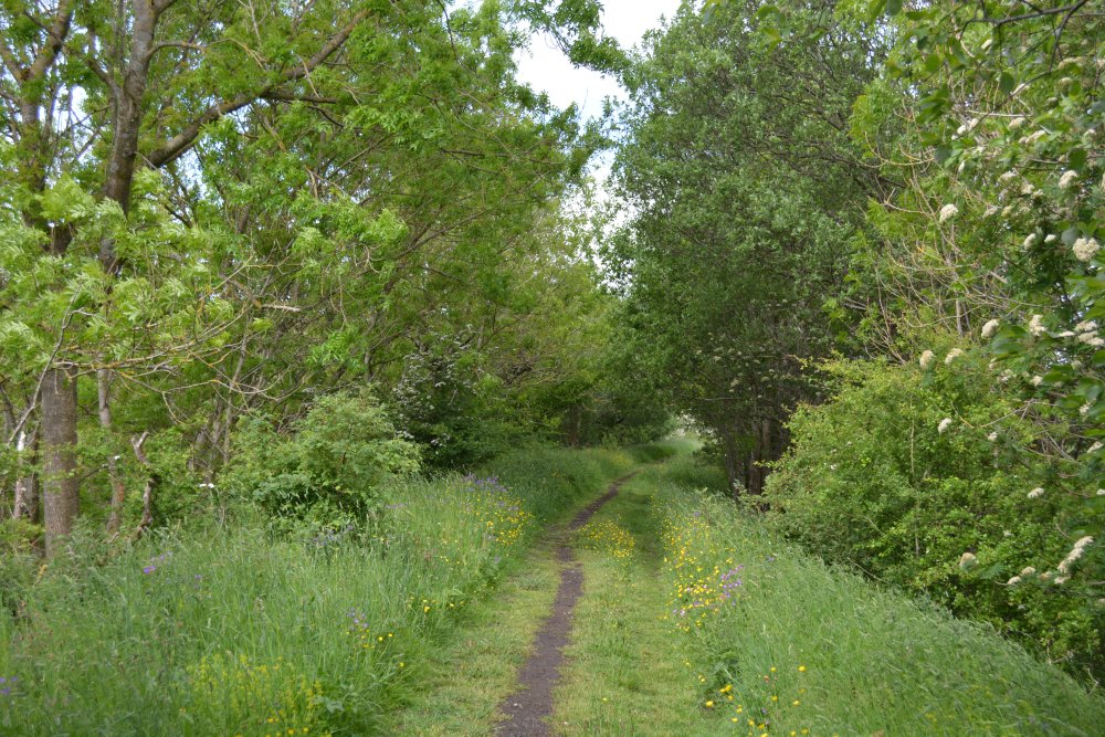  Newbiggin-on-Lune Smardale Nature Reserve Walk, Cumbria, England