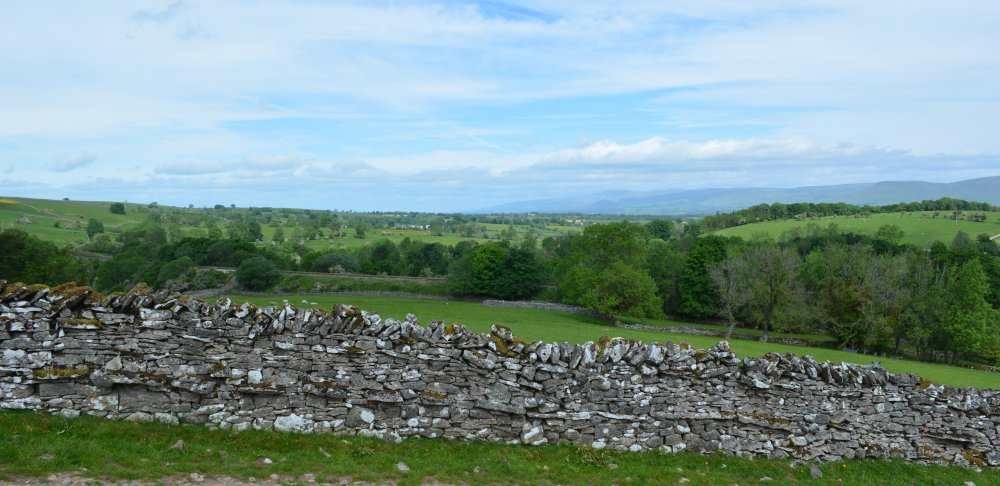  Newbiggin-on-Lune Smardale Nature Reserve Walk, Cumbria, England