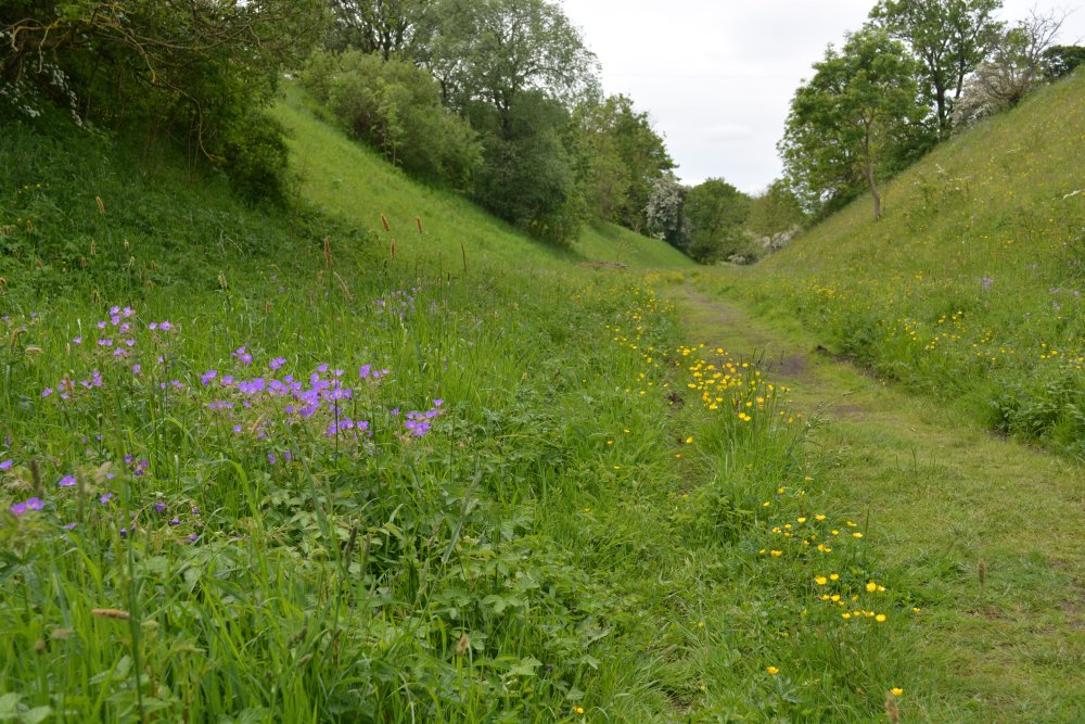  Newbiggin-on-Lune Smardale Nature Reserve Walk, Cumbria, England