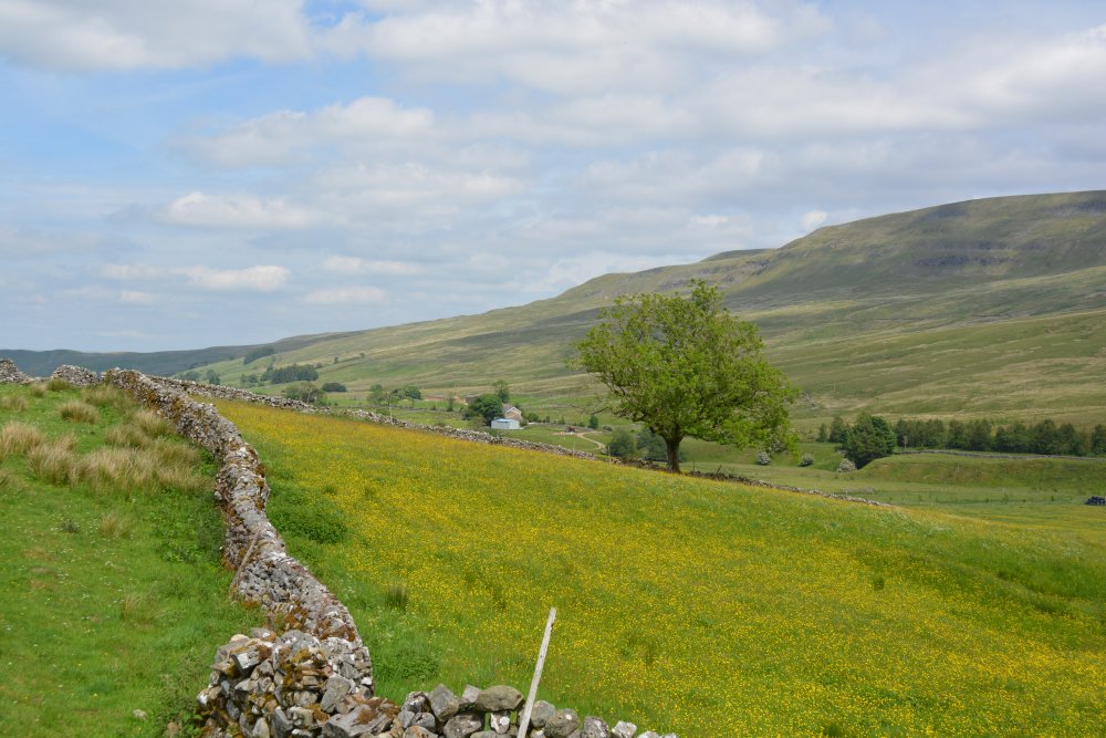  Climbing up Wild Boar Fell, walk from Mallerstang Dale, Cumbria, England