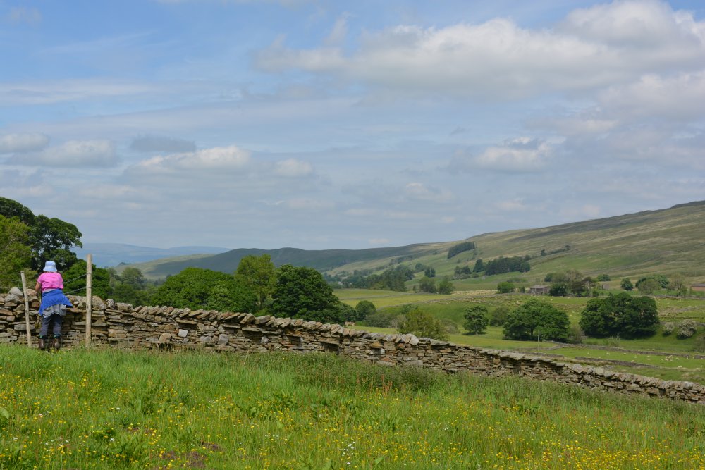  Climbing up Wild Boar Fell, walk from Mallerstang Dale, Cumbria, England