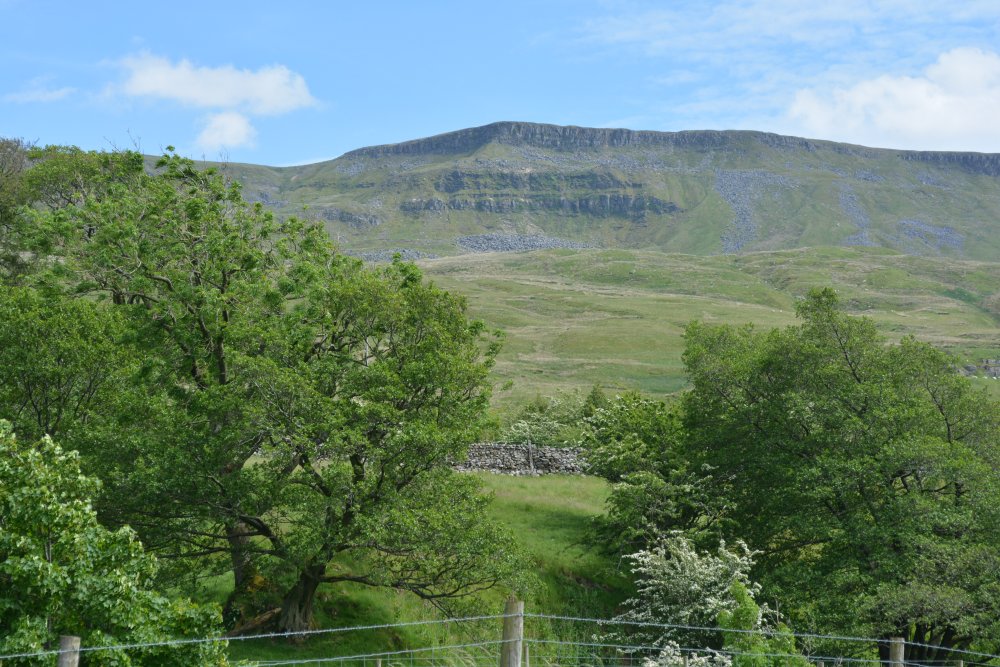 High Band and Low Band limestone scars Climbing up Wild Boar Fell, walk from Mallerstang Dale, Cumbria, England