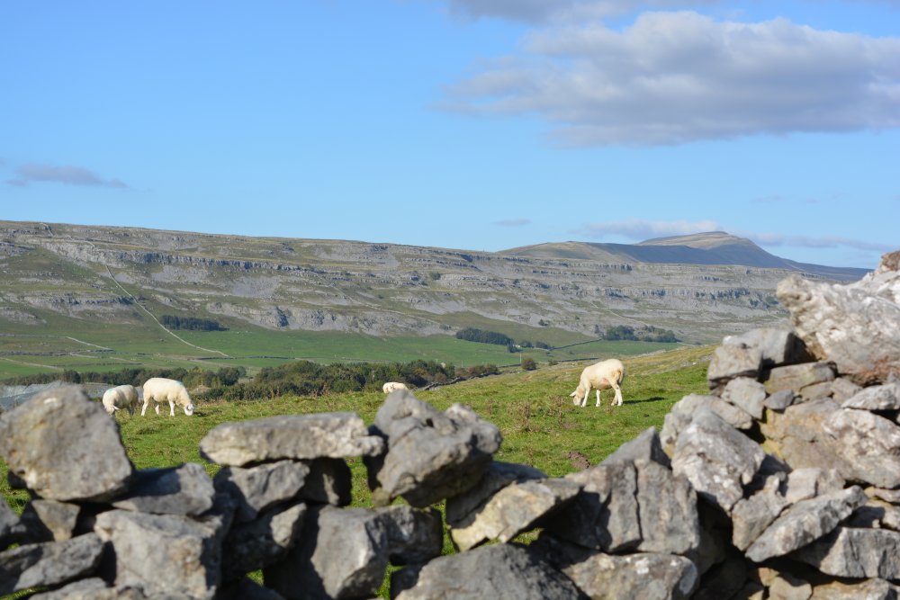 Climbing Ingleborough walk