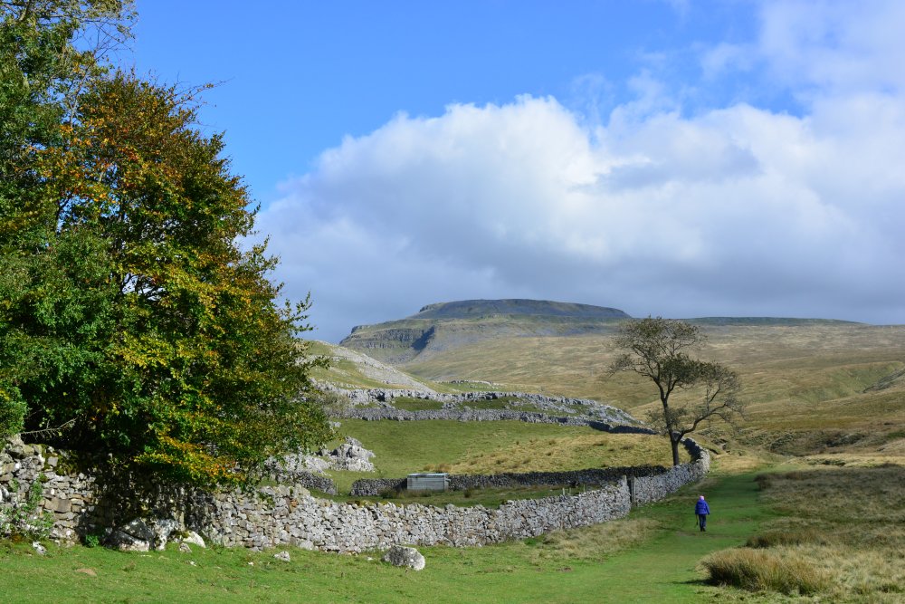 Climbing Ingleborough walk