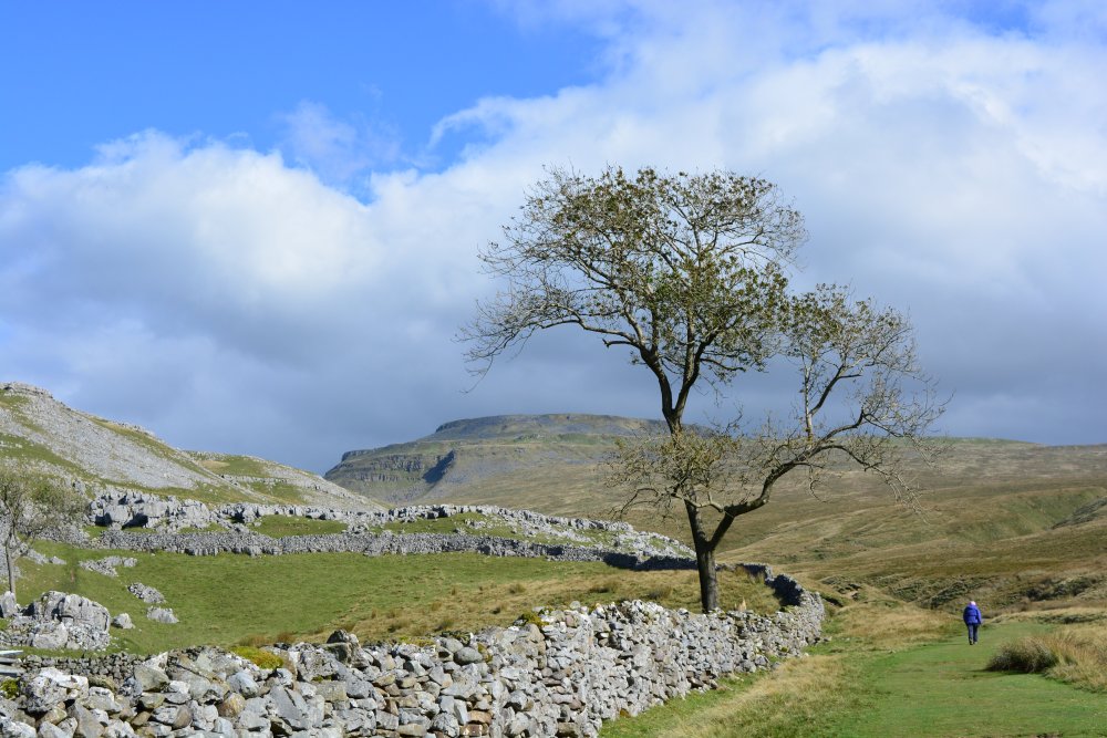Climbing Ingleborough walk
