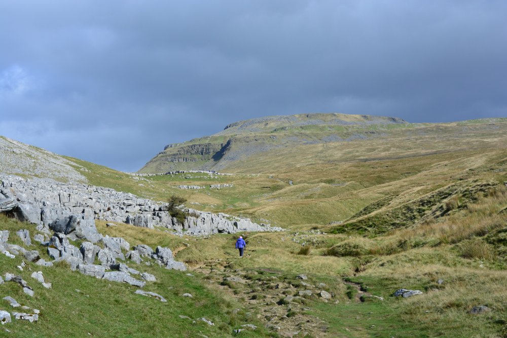 track approaching Climbing Ingleborough walk